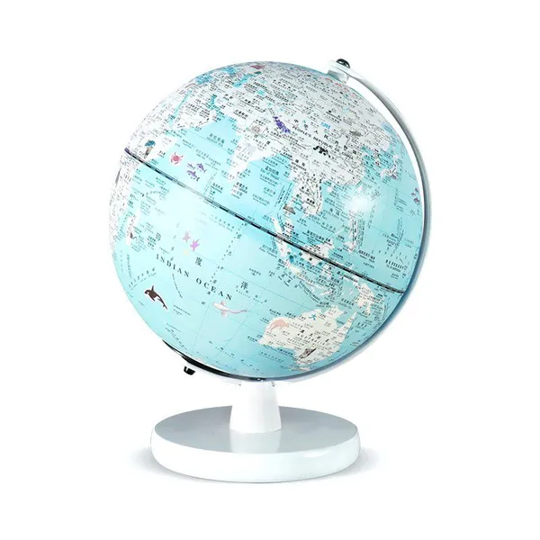 Easword G2078 20CM Arched Learning Illuminated Globes of the World