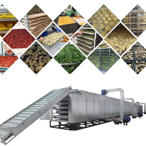 Genyond Machine Dried Lemon Mango Orange Continuous Belt Conveyor Tunnel Drying Machine on Sale photo-3