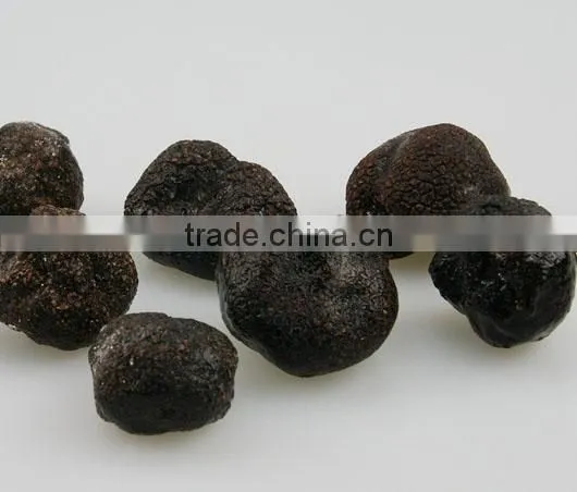 Fully Mature Fresh Wild Black Truffle Mushroom photo-4