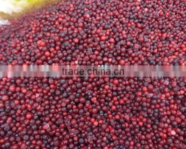 Frozen IQF Lingonberry