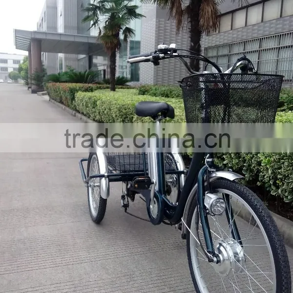 3 Wheel Handicapped 250W Electric Tricycle for Adults photo-2