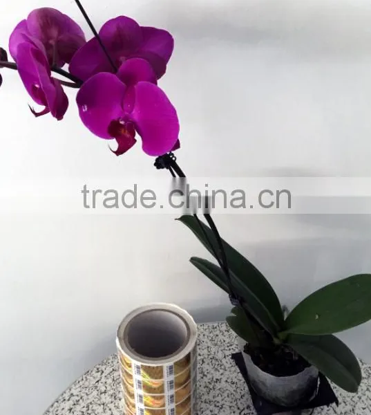 OEM Private Usages Custom Printing Good Price Packing Logo Adhesive Sticker Print photo-2