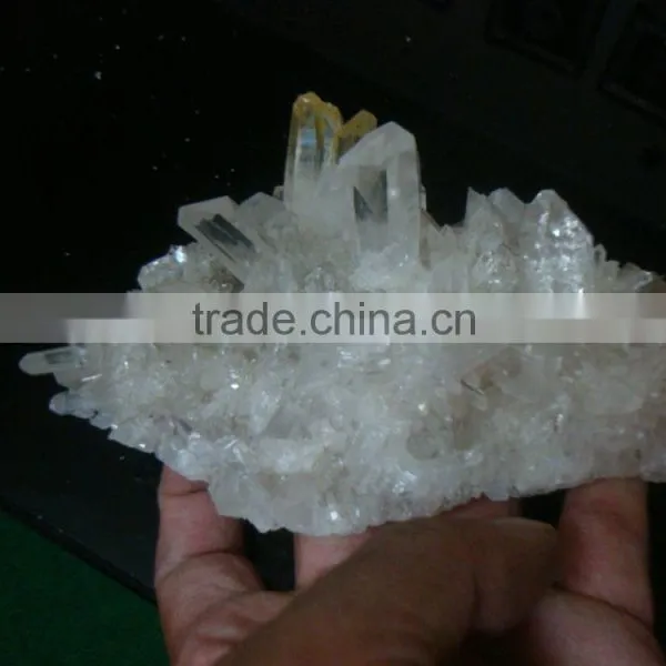 Natural Cluster photo-6