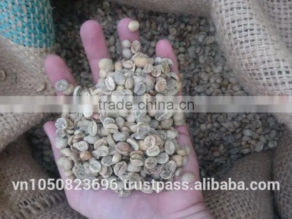 ARABICA GREEN COFFEE BEANS- High Quality