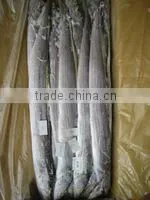 High Quality Frozen Ribbon Fish photo-2