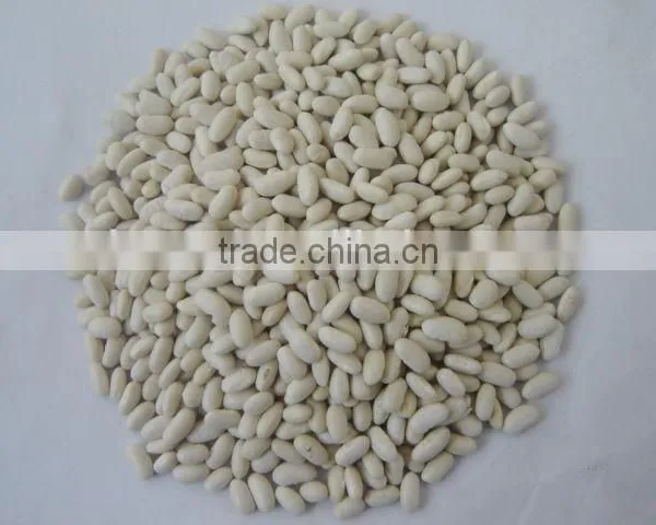 2015 New Crop Price of Baishake White Kidney Beans From China photo-2