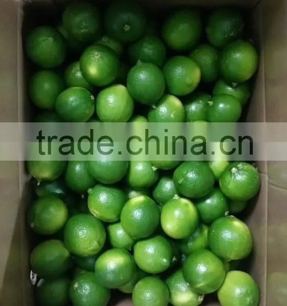 Seedless Lime