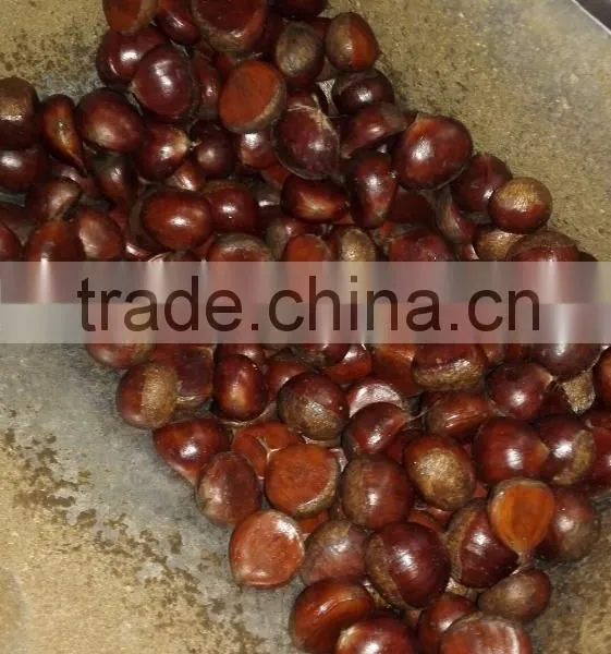 Fresh Chinese Chestnut photo-3