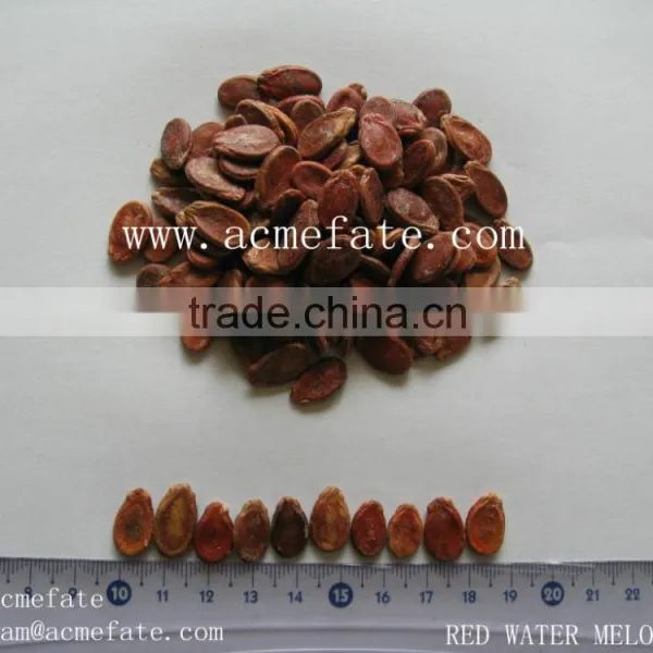 Red Watermelon Seeds for Sale