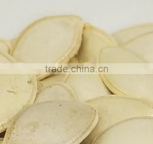 New Crop Organic Snow White or Shine Skin Pumpkin Seeds in Shell on Sale From China Market With Top Quality