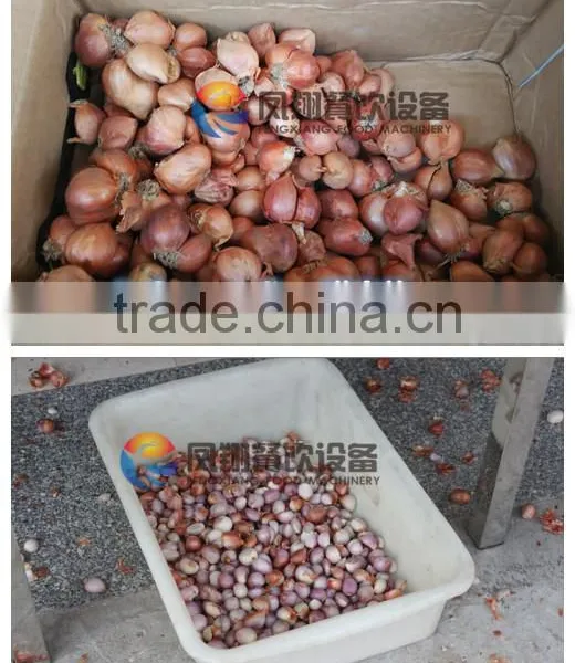 Industrial Shallot Peeling Machine, Shallot Skinner Machine, Shallot Skin Removing Machine With CE Approved photo-3