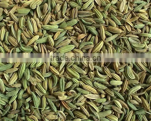 Best Quality Fennel Seeds at Best Price photo-5
