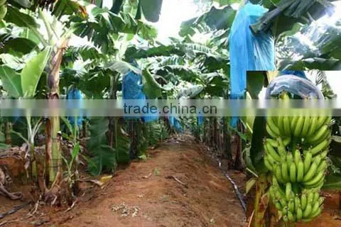 PP Spun-bonded Non Woven Fabric Use in Agriculture