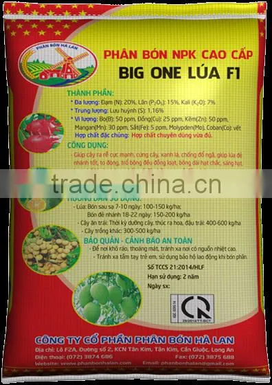 BIG ONE FOR RICE photo-4
