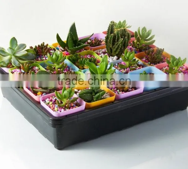 Plastic Raised Garden Bed photo-2