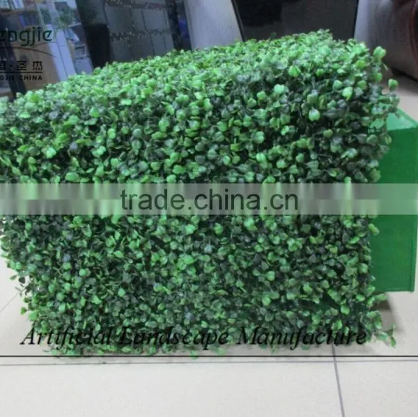 Indoor Artificial Plastic Boxwood Hedge for Decoration photo-4