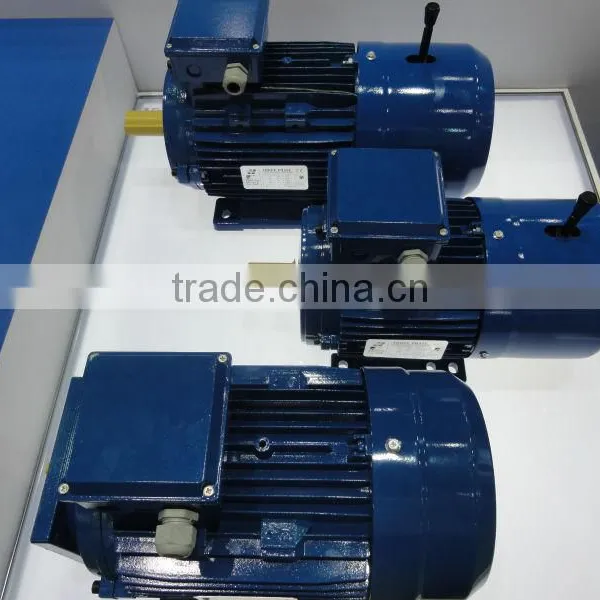 IEC Standard Three Phase IE3 Electric Motor With CE photo-6