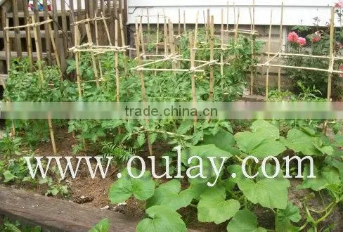 Bamboo Garden Trellis for Plant&decoration photo-2