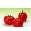 Supplying Lycopersicum Extract Lycopene