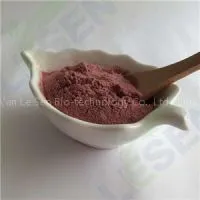 Black Currant Fruit Powder