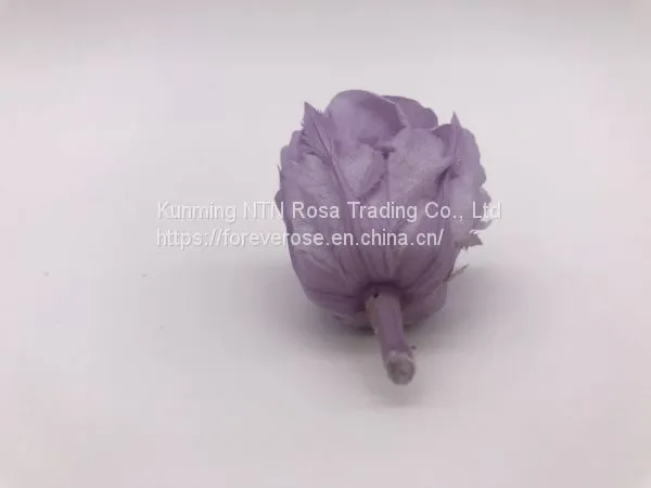 Wholesale3-4cm Elegant Real Touch Preserved Rose Flower photo-5