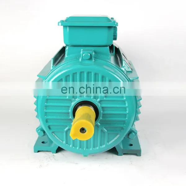 0.75KW YE2-80M1 Series Three-Phase Induction Motor AC Motor Electric Motor photo-2