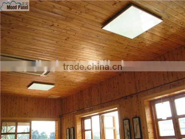 Led Hi-end Quality Pure White Led Panel Light no Strobe photo-6
