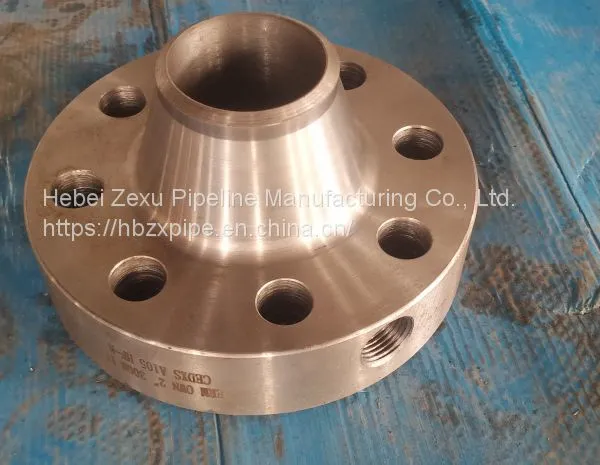 Forged Flange, A105 Hole Plate Flange photo-2