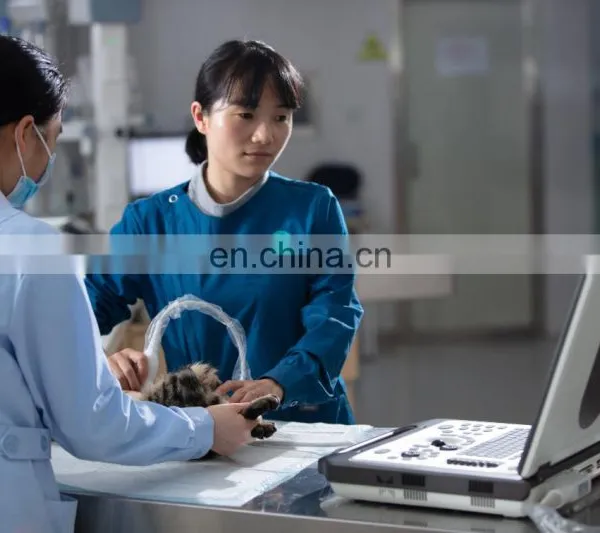 Veterinary Ultrasound Scanner Portable Color 3d Ultrasound Machine Electric Ce Mobile Trolley or Carrying Bag 24 15 LCD Monitor photo-2