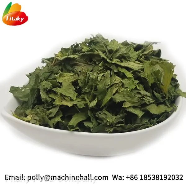 High Quality Organic Dried Celery Flakes Wholesale Price