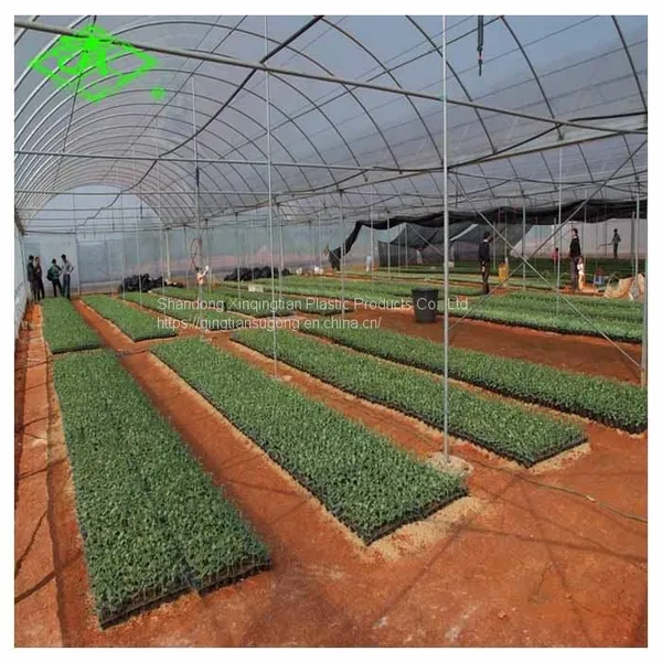 100-200 Mic Multi - Function Film of Vegetable Greenhouse