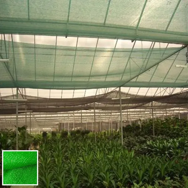 Mono Shade Net 50% Shade Rate For Greenhouse HDPE Netting UV Stablized photo-5