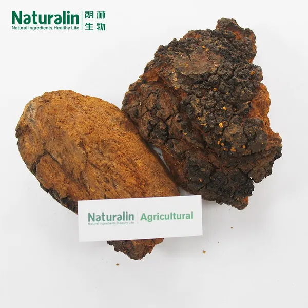 Chaga Mushroom Extract photo-3
