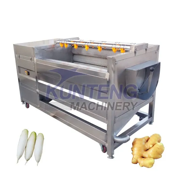 Mini Wool Roll Fruit and Vegetable Food Cleaning Machine Potato Washer Date Washing Machine Without Tub for Industry EPC