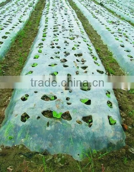 Non Woven Landscape Fabric Factory photo-3