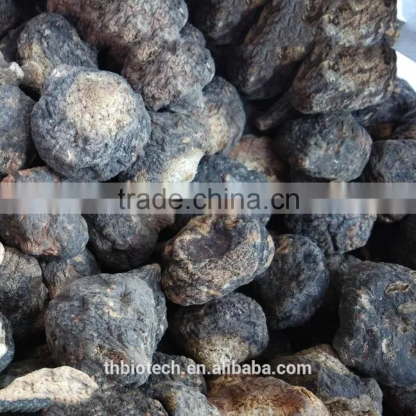 Manufacturer Pure Natural High Quality Maca Root Powder photo-3