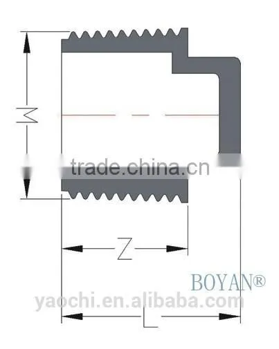 Pvc BS Thread End Cap Plug photo-2