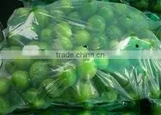 CHEAPER PRICE VIETNAM FRESH LIME photo-4