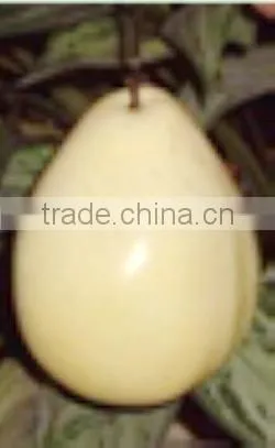 Artificial Fruit