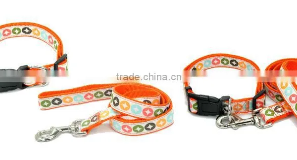 Leash and Collar Set for Dogs