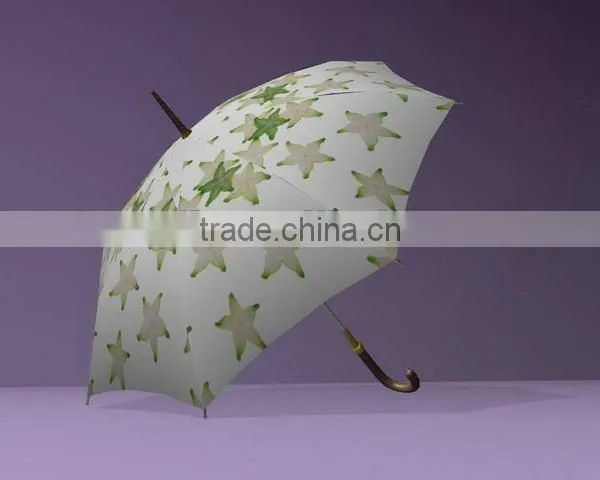 Tyvek Umbrella