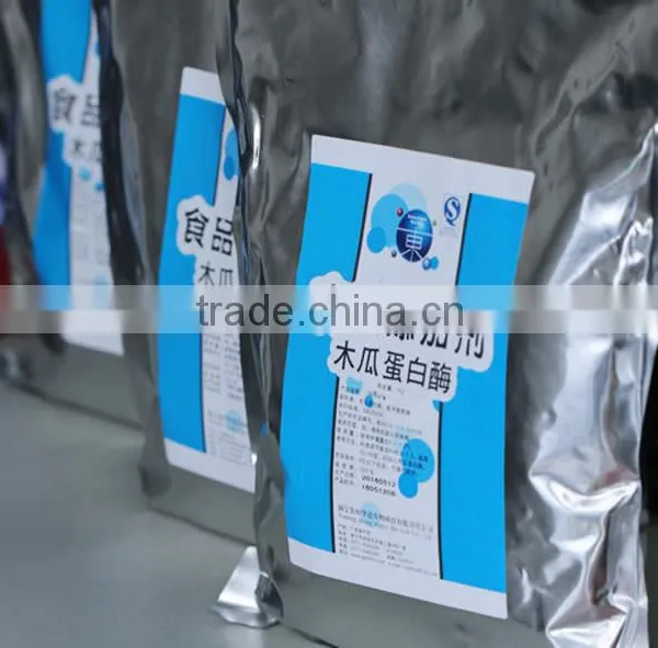 100% Natural High Quality Factory Supply Papaya Powder in Dried Fruit photo-4