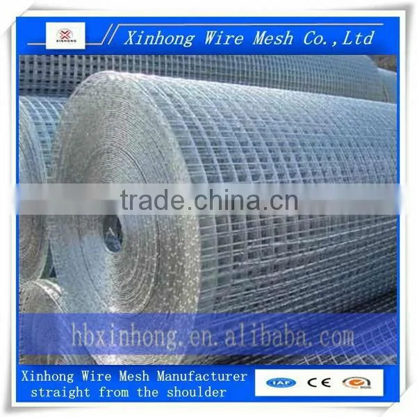 Galvanized Welded Wire Mesh