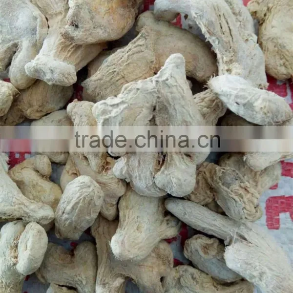 Buy High Quality Dried Ginger Whole From Chinese Factory Low Price photo-2