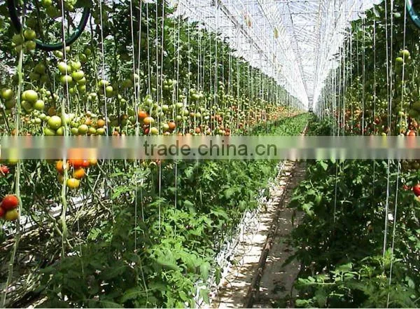 Jute Twine For Tomato Green House