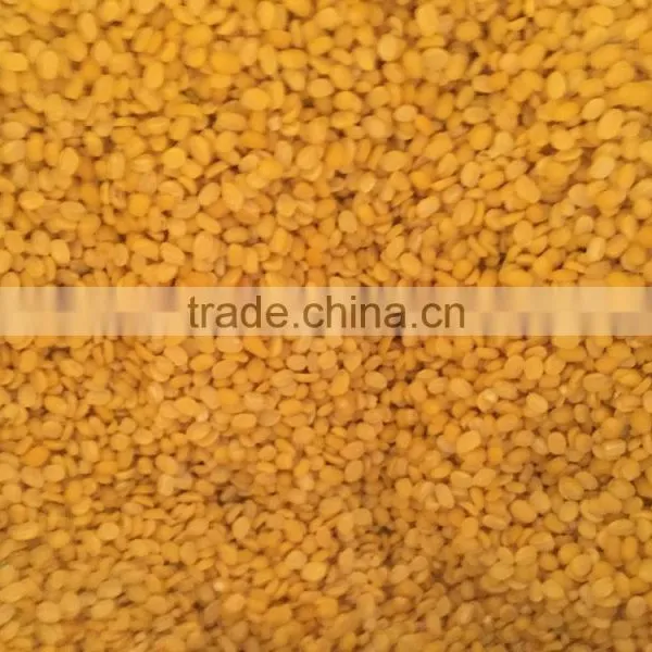 High Quality Green Mung Been From Vietnam for Sale