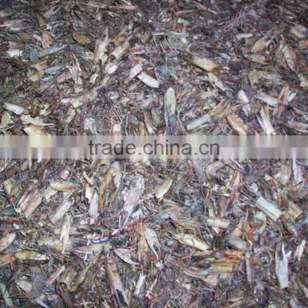 High Quality Dried Shrimp Body Shell From Bangladesh photo-4