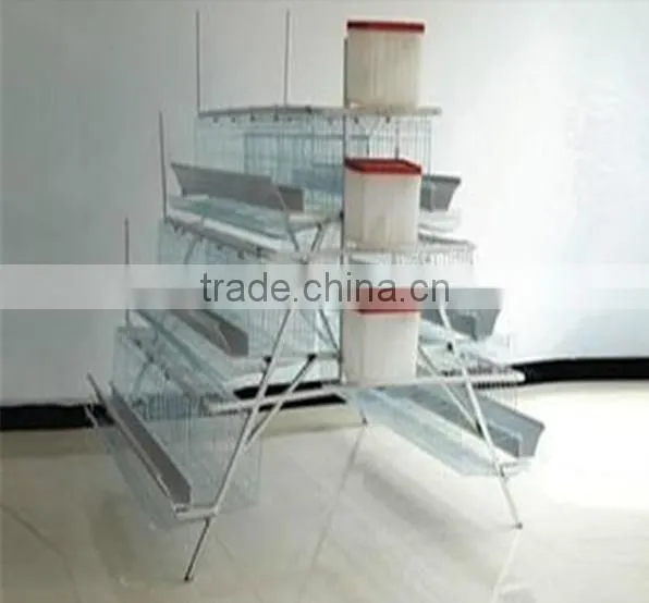 Egg Cross Collection and Transport System photo-3