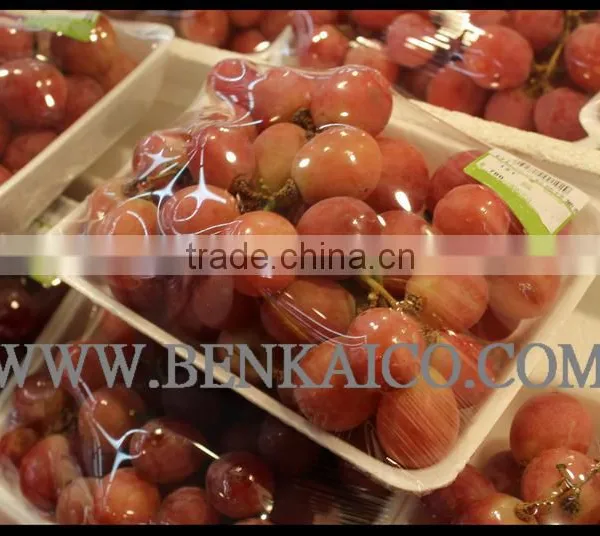 PVC Stretch Film for Food Wrap photo-4