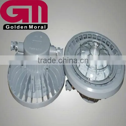 FG-01 Explosion Proof Laneway Light/OEM photo-2